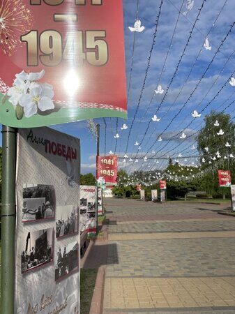 image-11-05-25-06-50-3